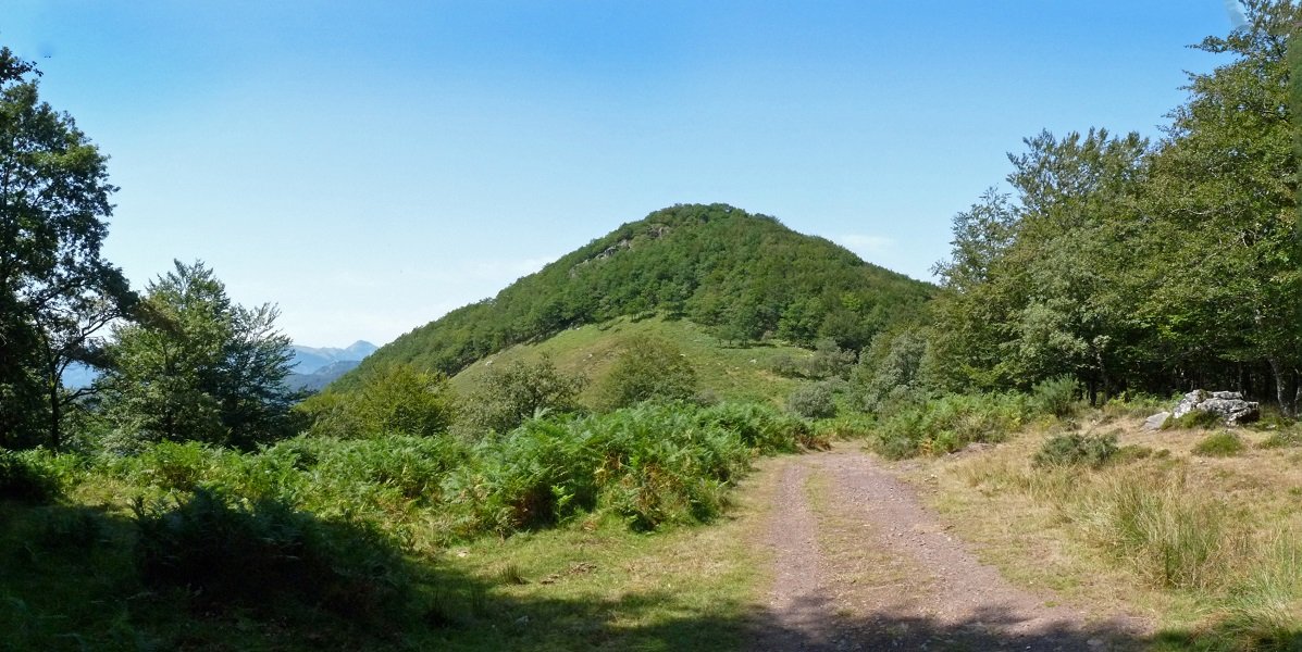 Arramia