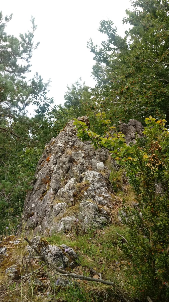 Araxamendi (1338m) tontorraldea
