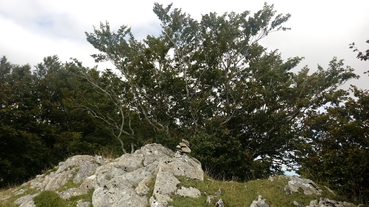 Adatun (1248m) tontorra