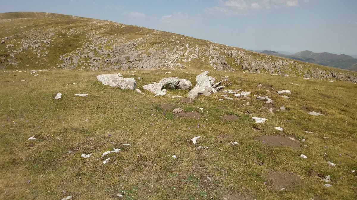 Arrizabala trikuharria