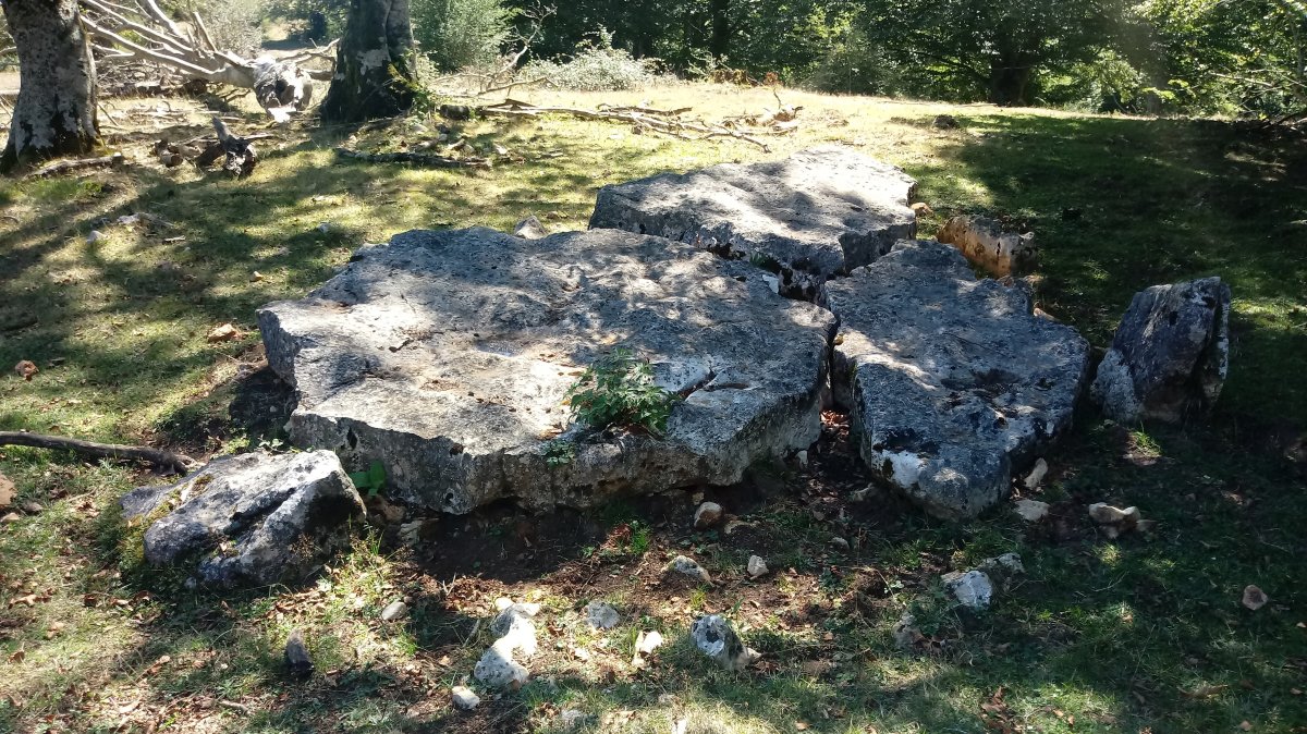Lekuona zutarria