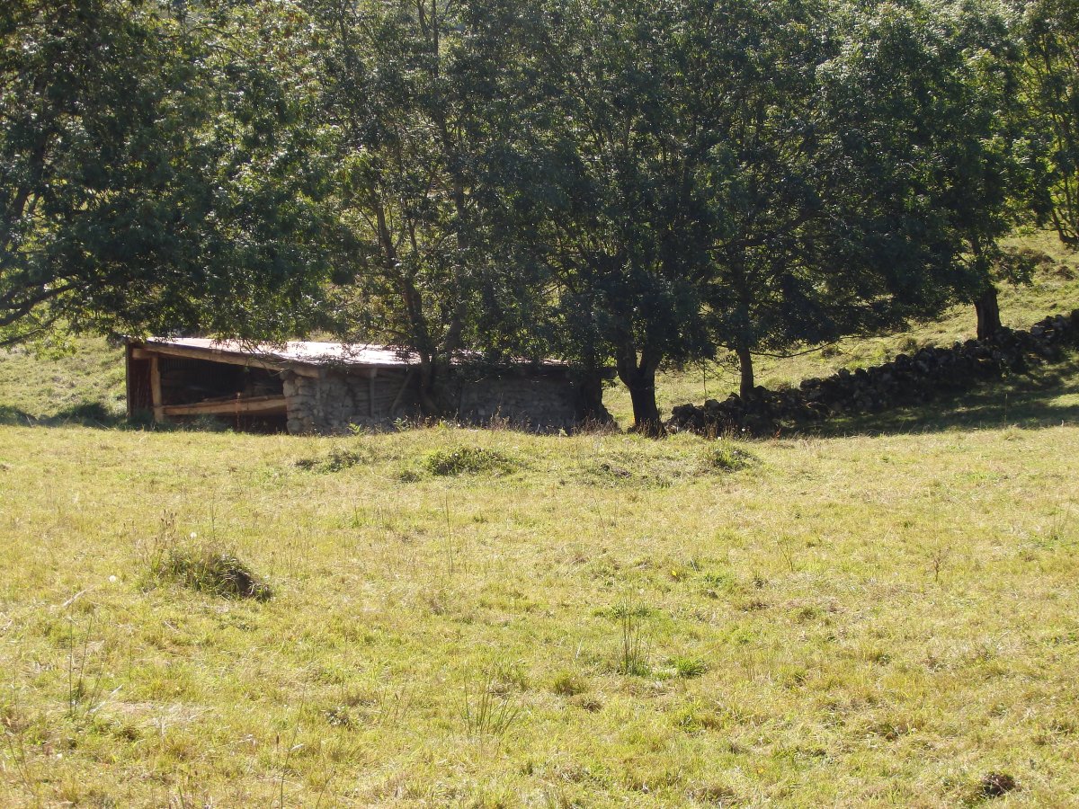 LARRONDO II