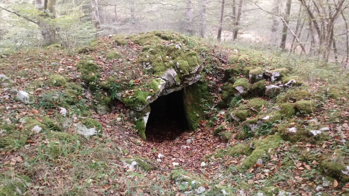 Ziñeko Gurutze trikuharria