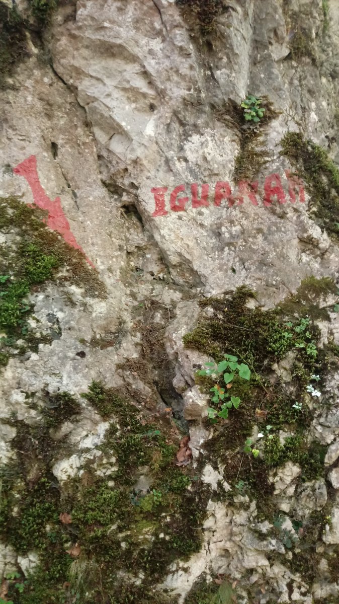 Iguaran haitzuloa