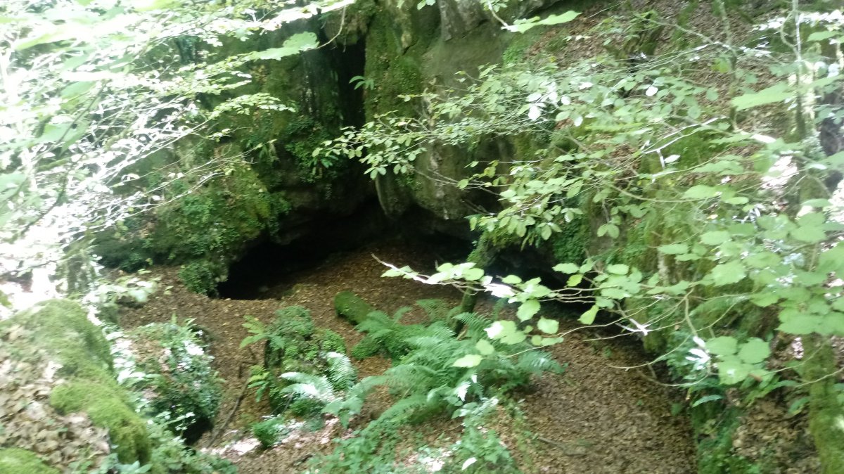 Iguaran haitzuloa