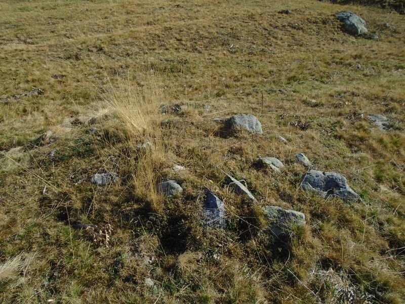 carrusco 