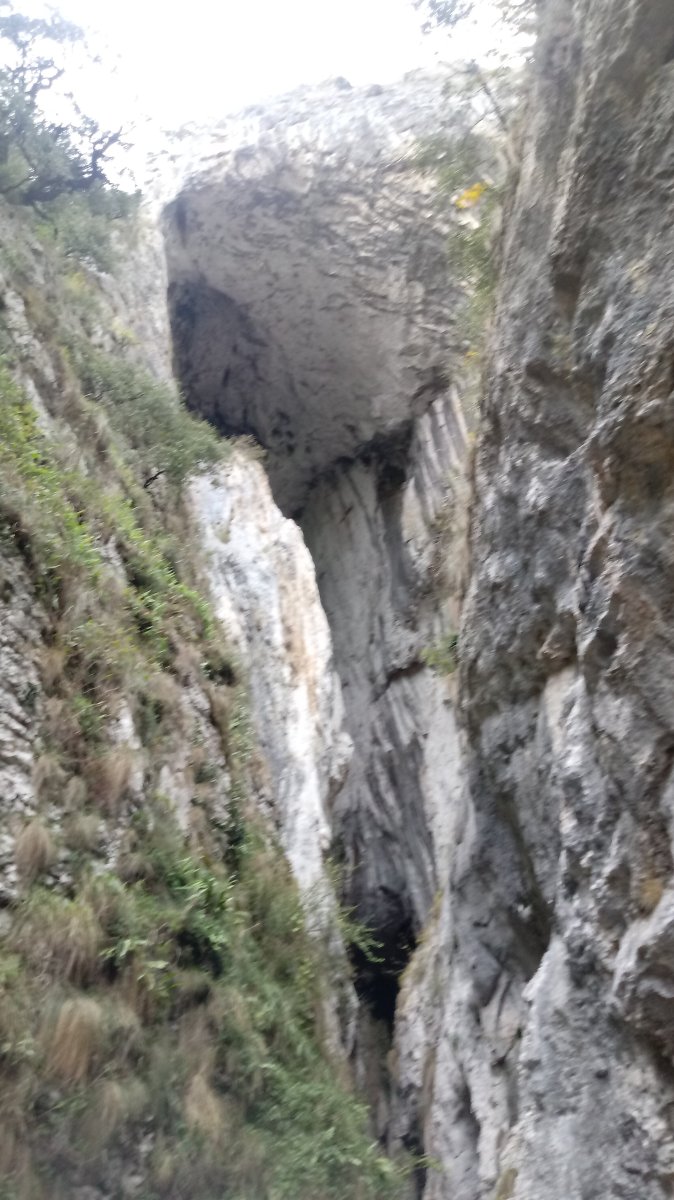 Jentilkoba