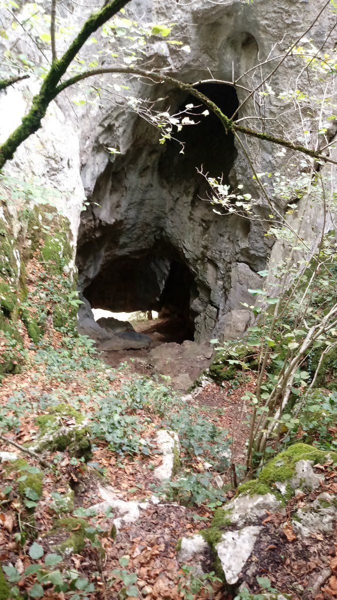 Eginoko Begia