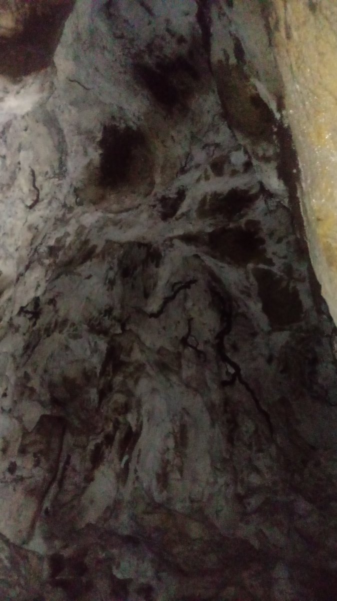 Urisolo goba
