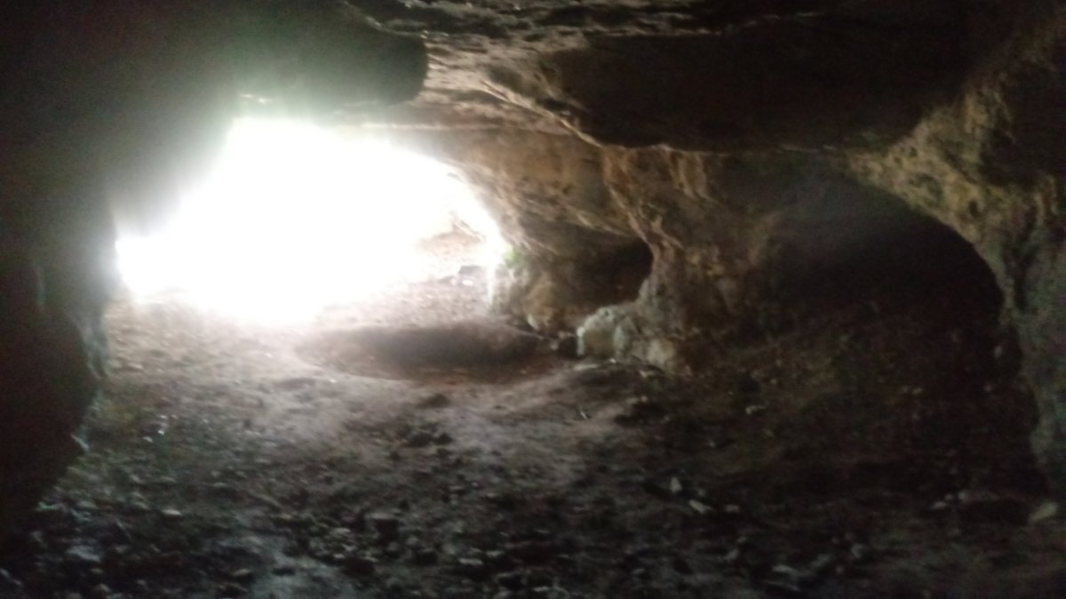 Urisolo goba