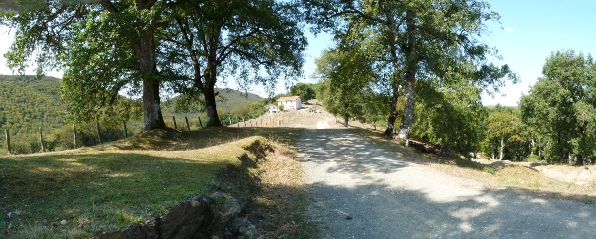 Perutxena borda