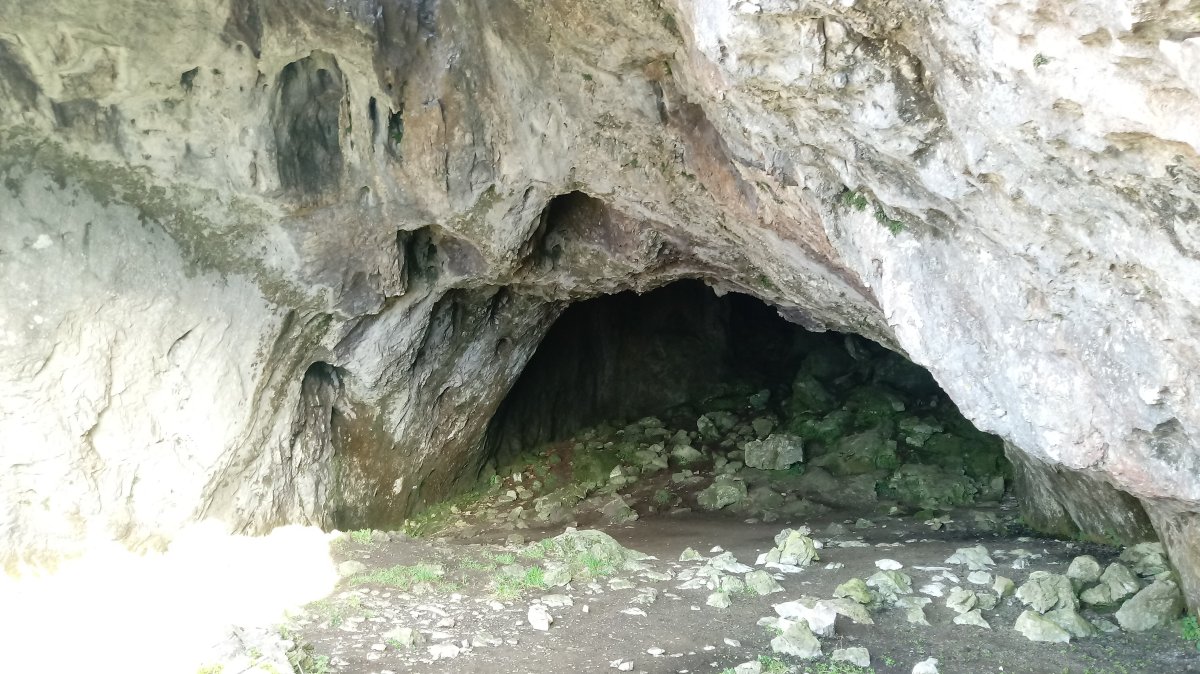 Koba haundi haitzuloa