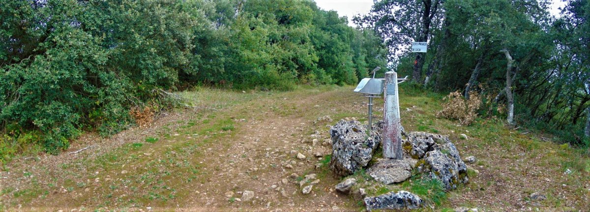 Tontorra
