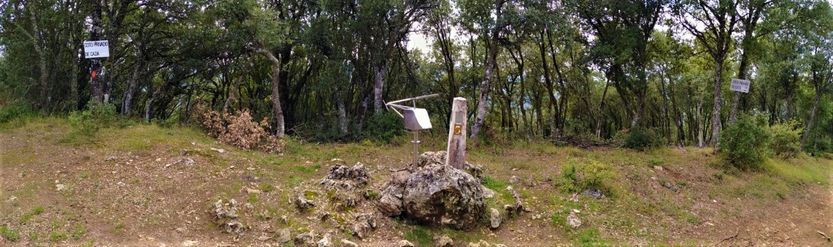 Tontorra