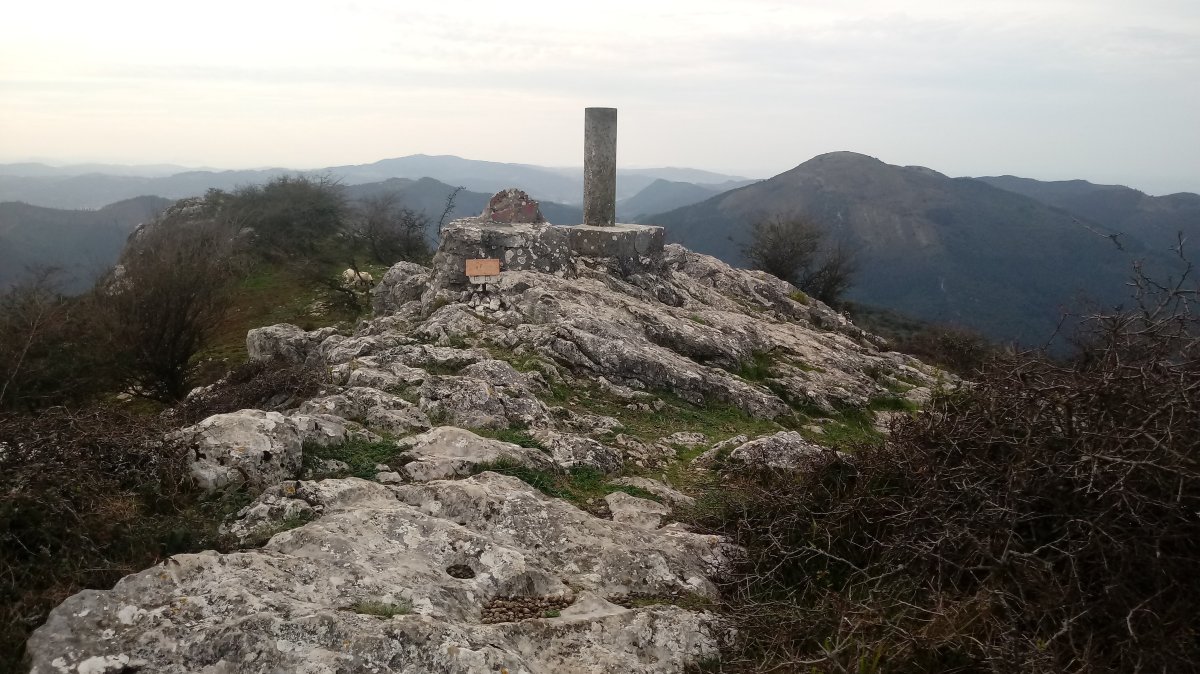 Bedartzandi (699m) tontorra