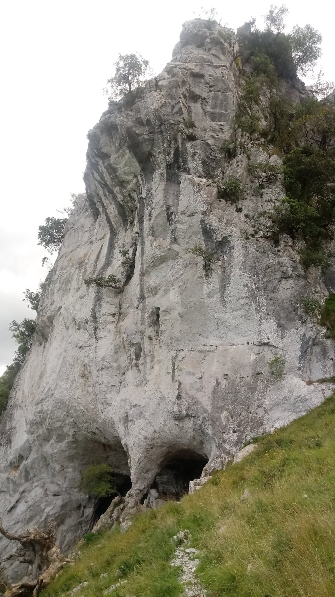 Sagastakoba