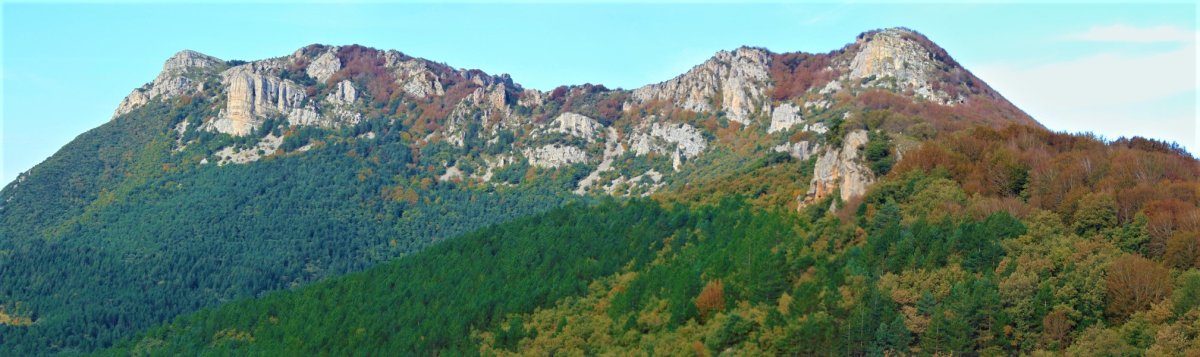 Toloño