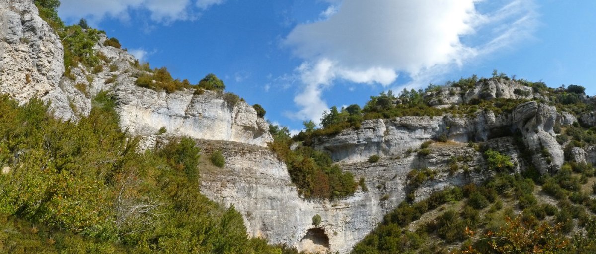 Ganuzako harratea