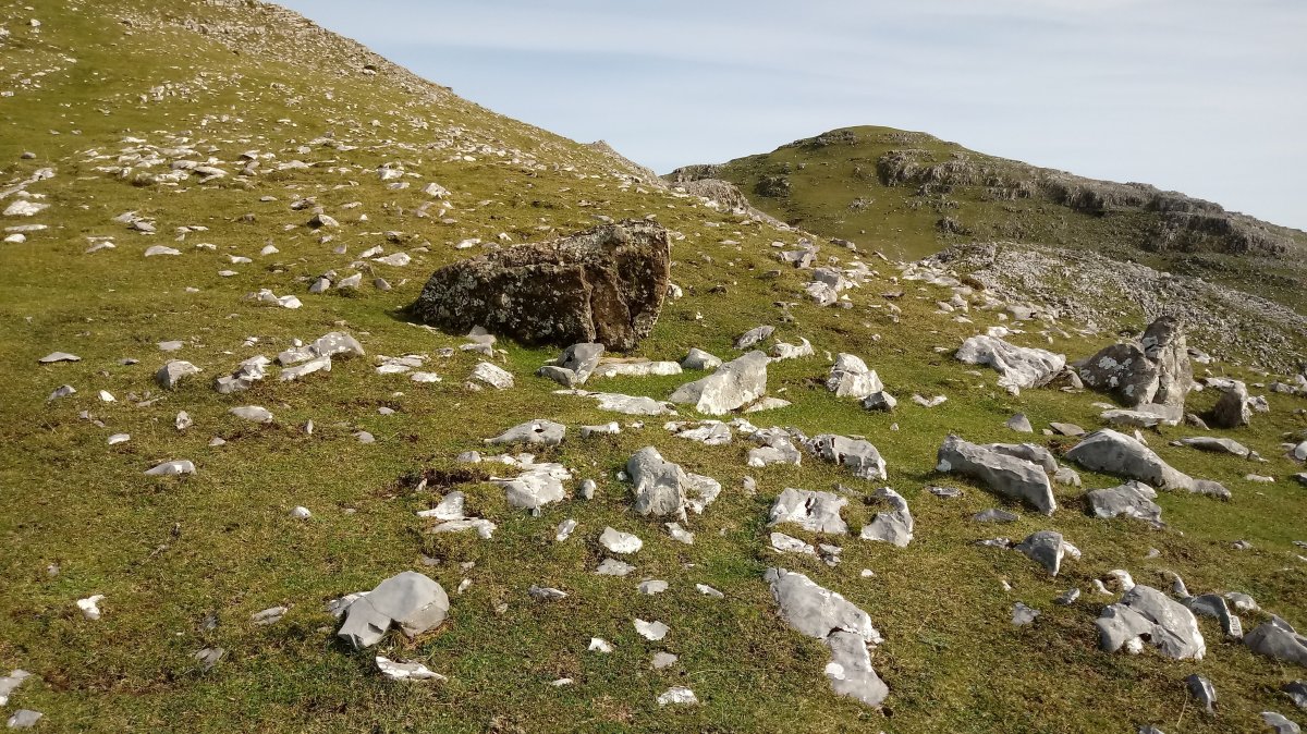 Ganboa Txiki I trikuharria (2020)