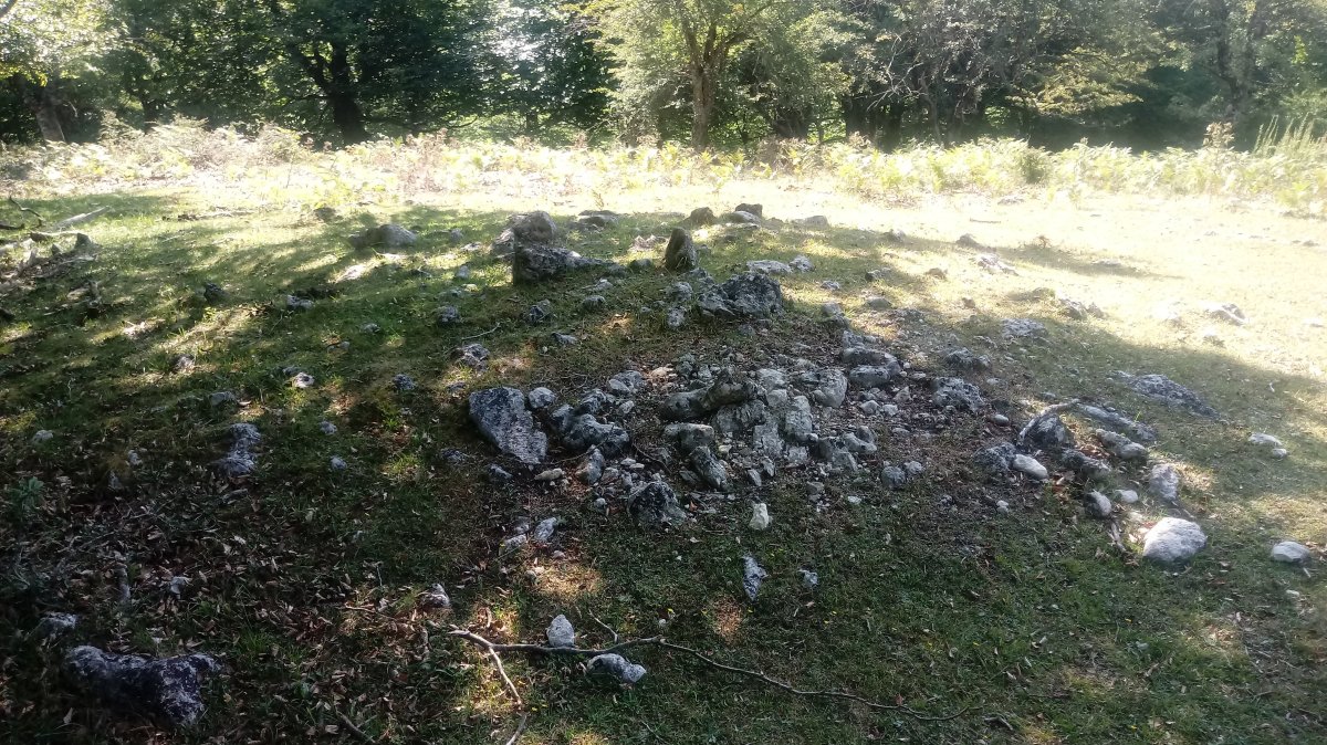 Lezana arrasoa trikuharria