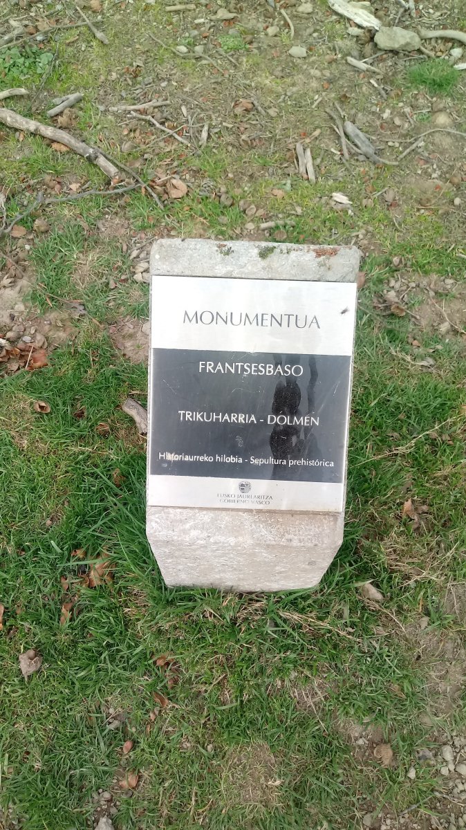 Frantsesbaso trikuharria (2020)