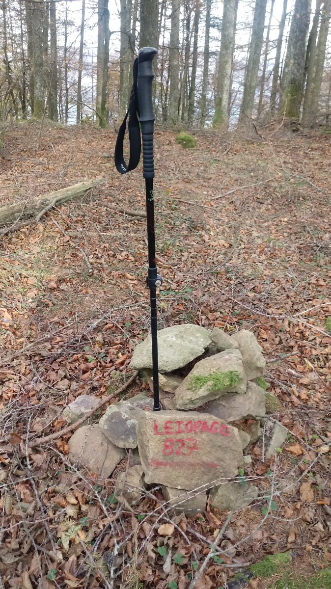 Leiopago (827m) postontzia