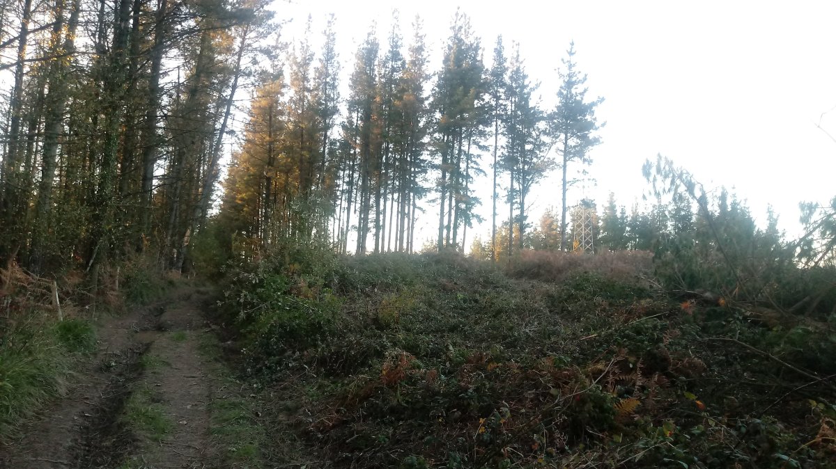 Txikasoro (522m) tontorra