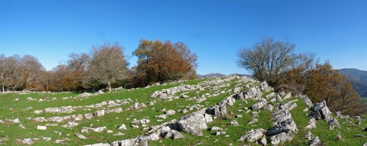 Gailurra