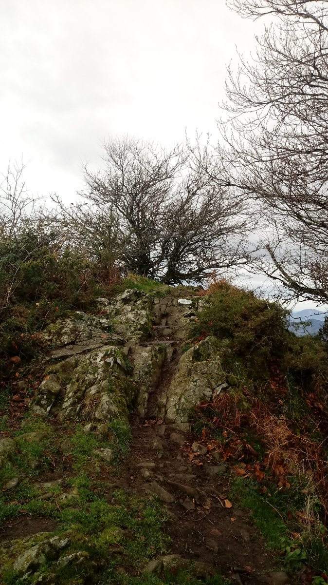 Arrizuri (889m) tontorra