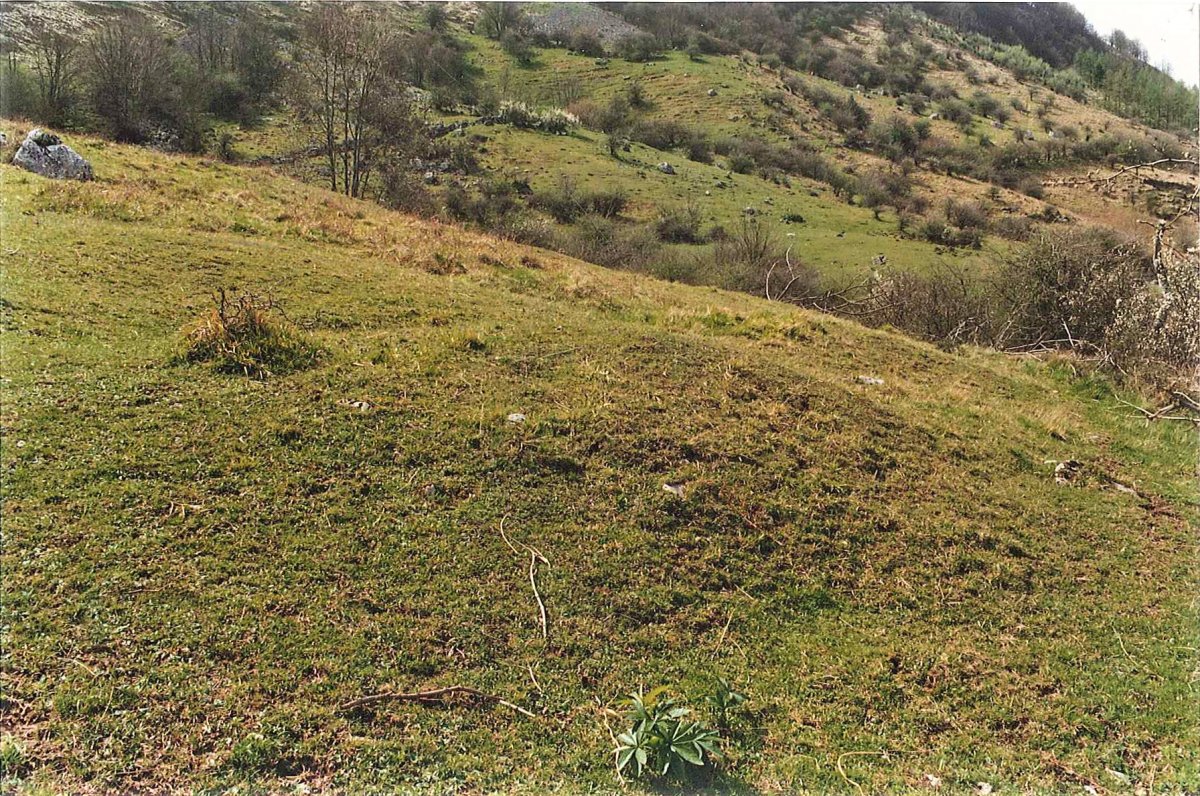 PLAZEGI T2
