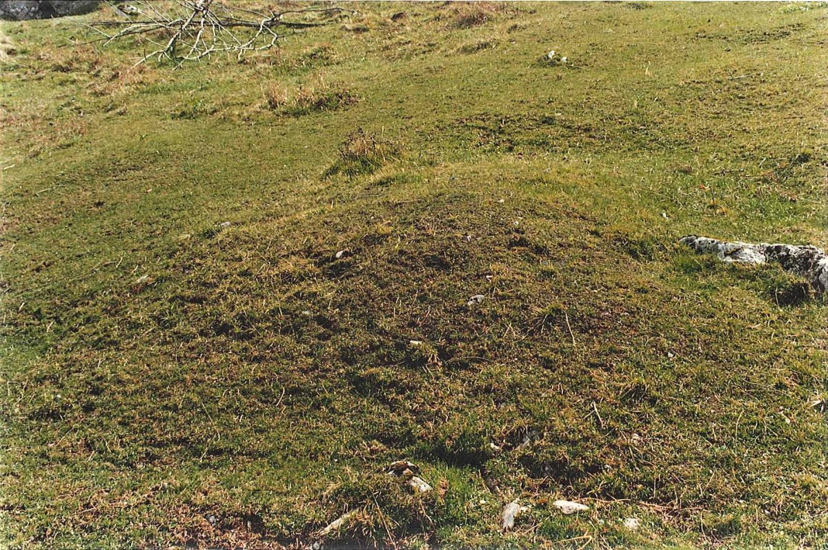 PLAZEGI T2