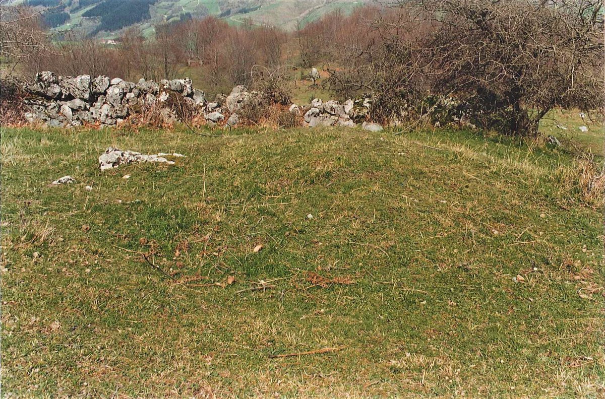 PLAZEGI T2