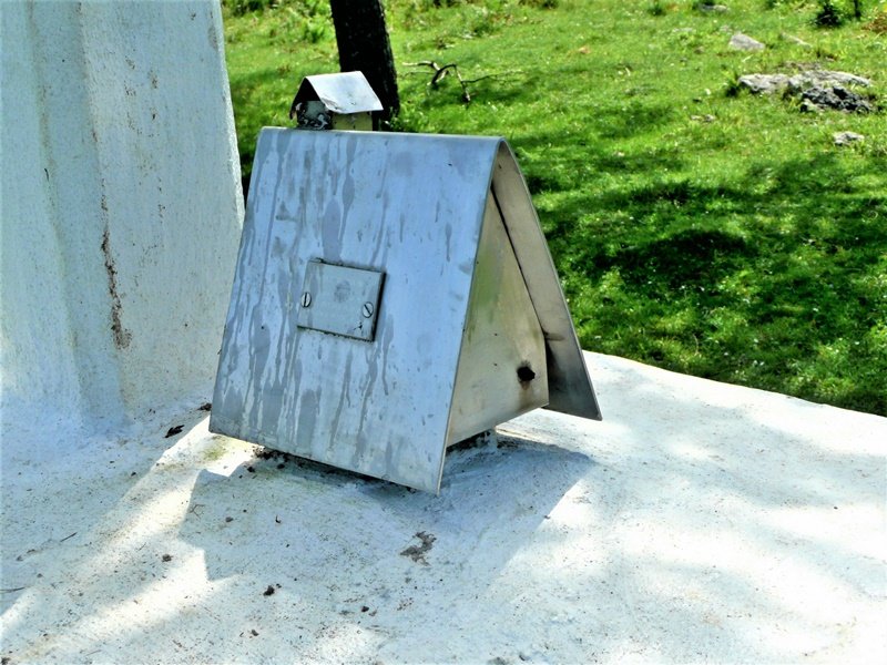 Buzoia