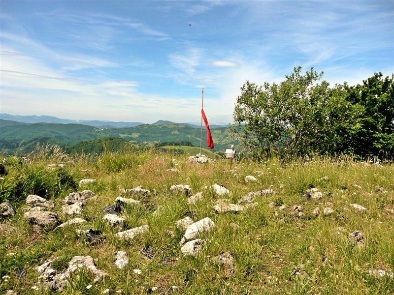 Tontorra