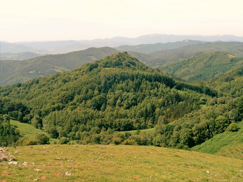 Mendikute