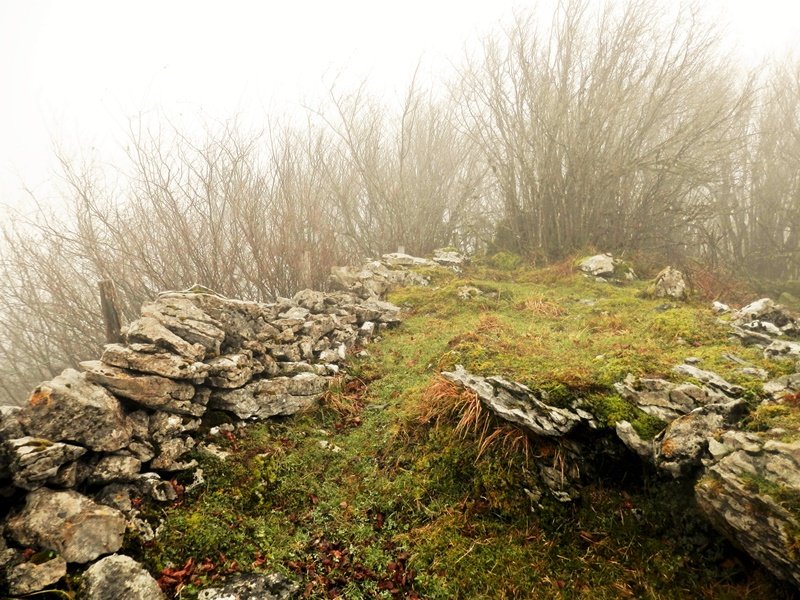 Tontorra