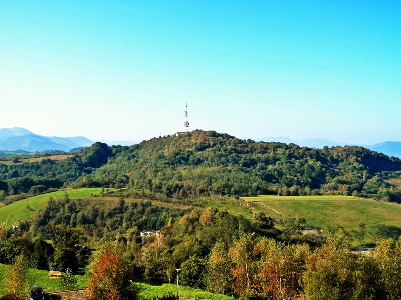 Txoritokieta