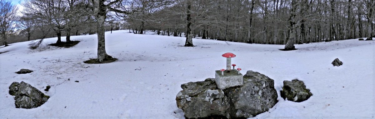 Tontorra