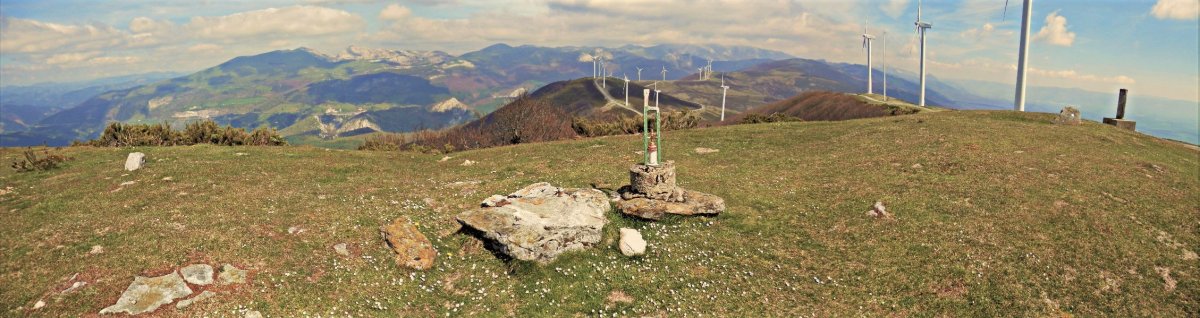 Tontorra