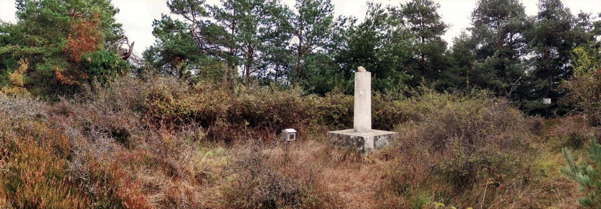 Tontorra