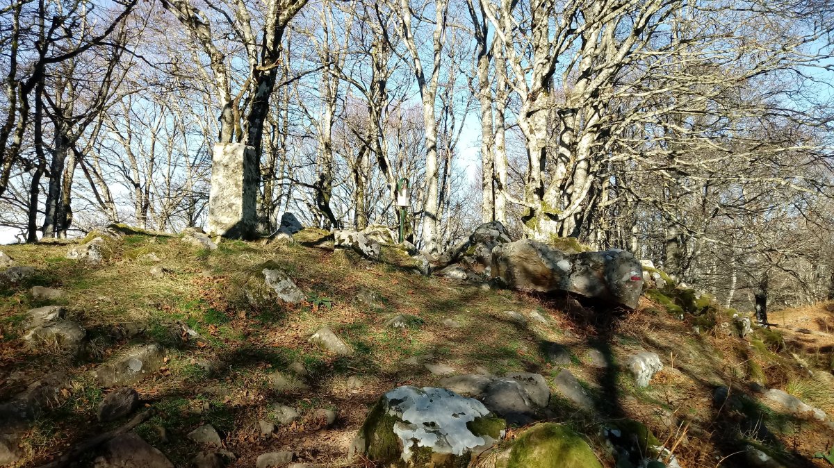 Oregi (924m) tontorra