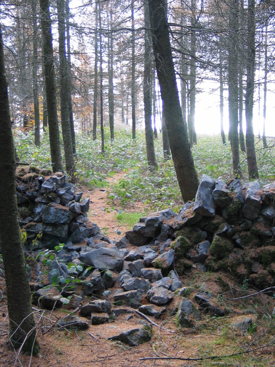Tontorra