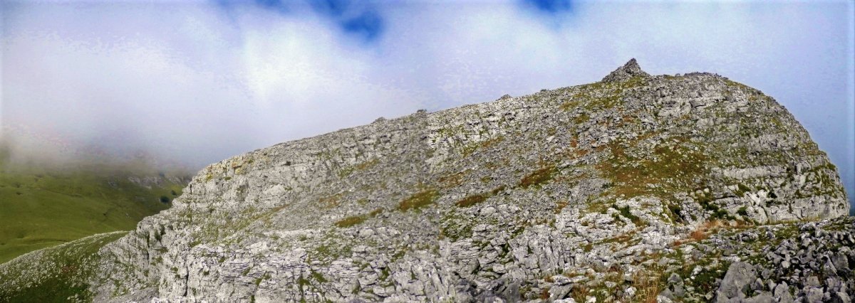 Aldamin