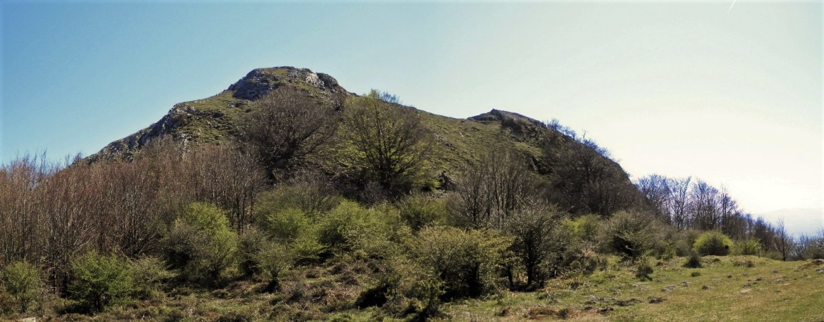 Olano