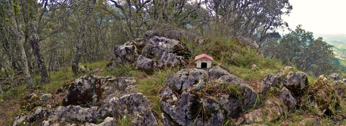 Tontorra