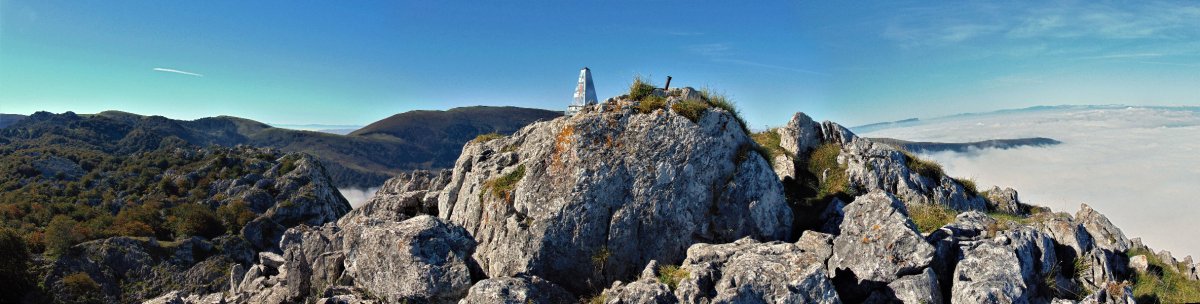Tontorra