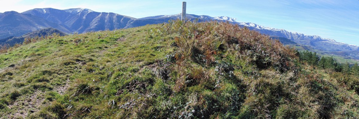 Tontorra
