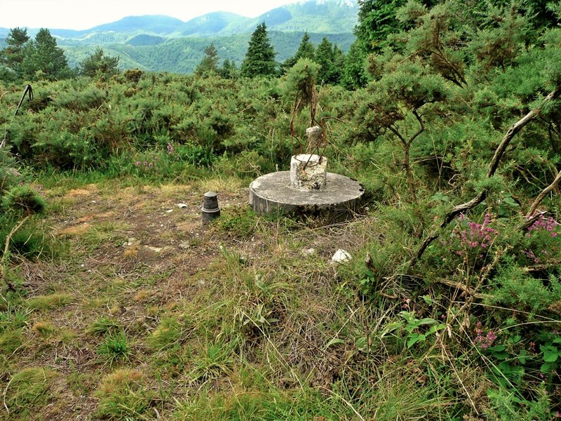 Tontorra