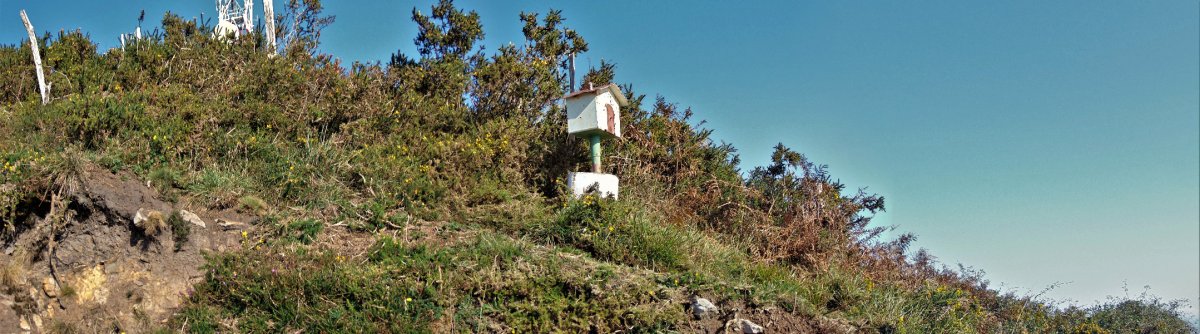 Tontorra