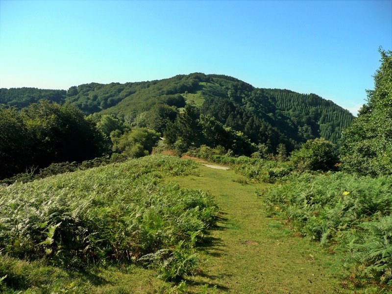 Aldura